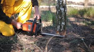 Best Lot and Land Clearing  in Seneca, IL