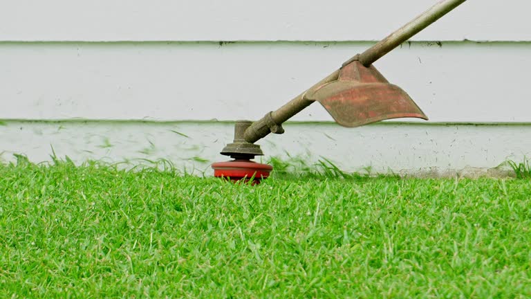 Best Weed Control  in Seneca, IL